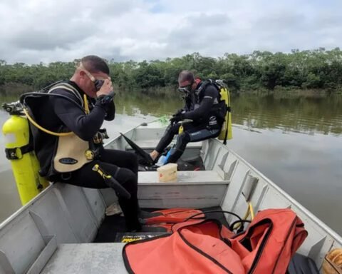 continuam buscas por idoso que se afogou após ser atacado por abelhas