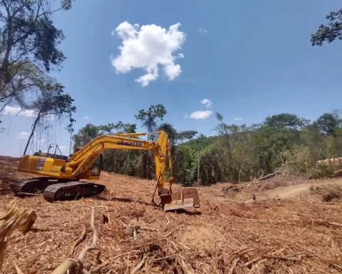 Cerrado