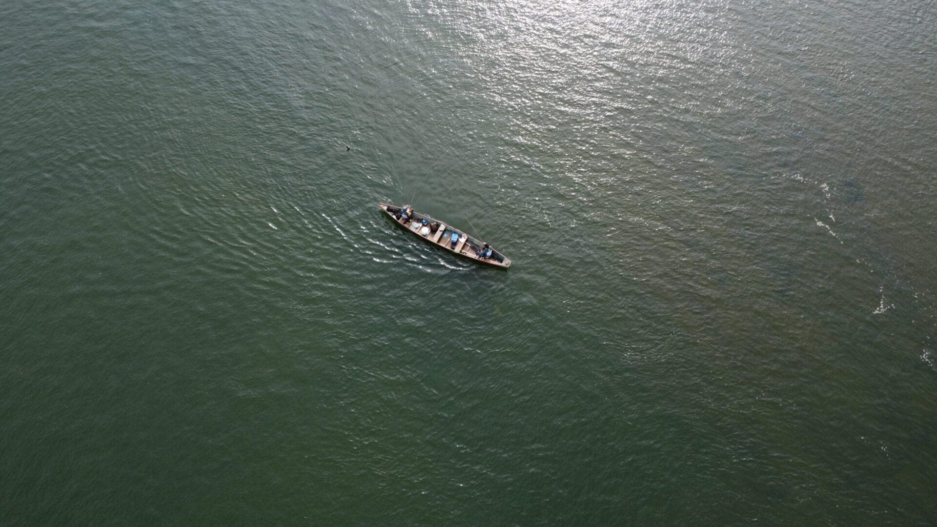 Campeonato de Pesca de Augustinópolis