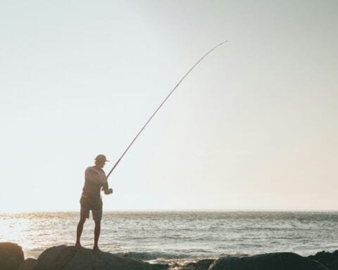 Benjamin le roux WfIeAGDJZvU unsplash