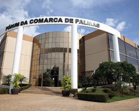 Forumdepalmas 14 8