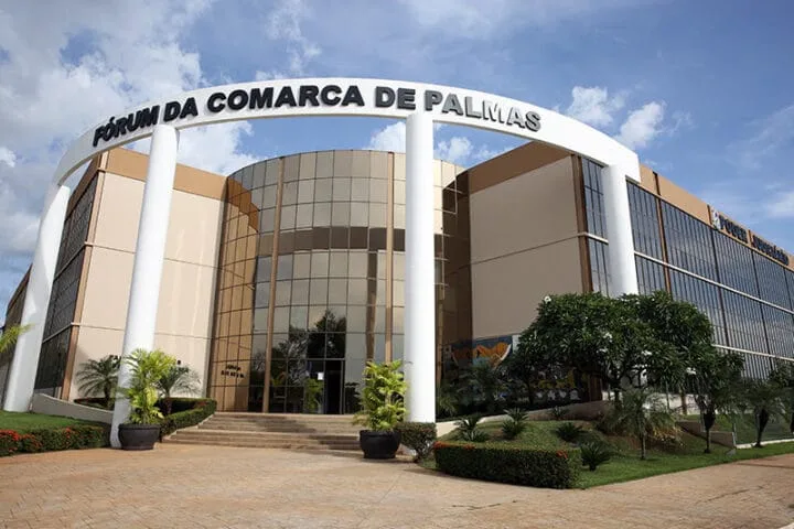 Forumdepalmas 14 8