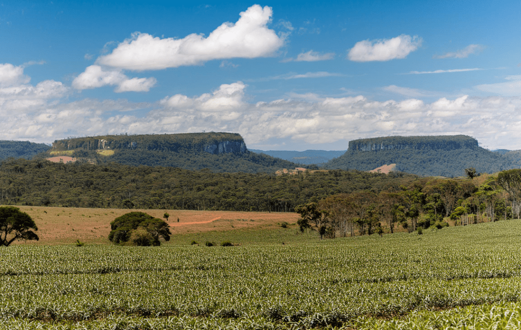 Projeto de Desenvolvimento da Agricultura Familiar e Extrativismo Pão da Terra no Bico do Papagaio.