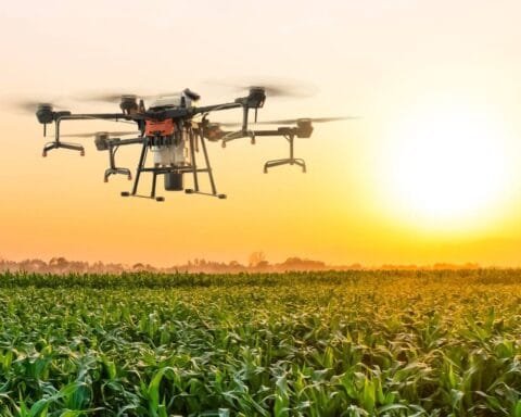 727ef0682d2bedfcf1a20636948471a6