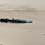 Ônibus de turismo cai no Rio Tocantins em Tocantinópolis; motorista reserva está desaparecido Captura de tela 2025 10 26 as 11.16.52.png