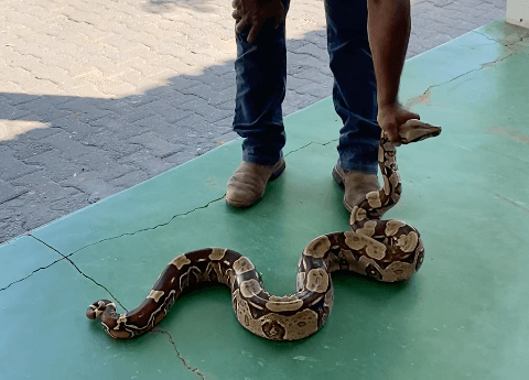 Captura de Tela 2026 01 16 às 15.54.58