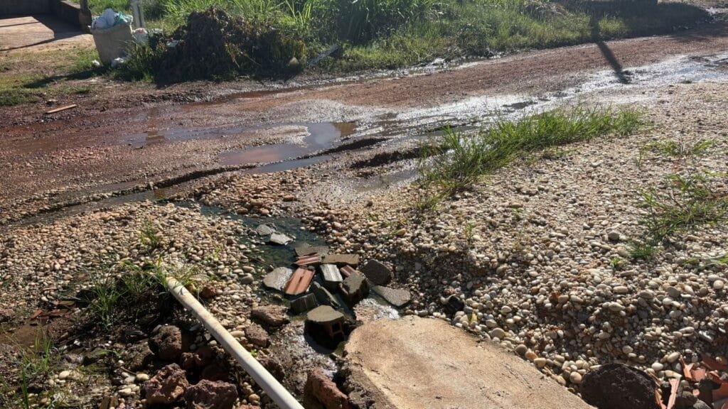 WhatsApp Image 2026 04 07 at 08.24.43