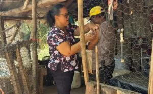 WhatsApp Image 2026 04 23 at 18.35.25