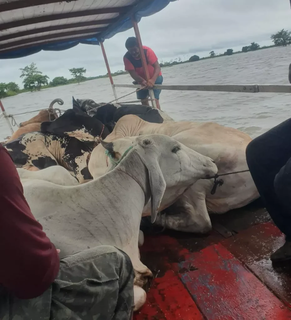 Whatsapp image 2022 01 28 at 5.24.09 pm