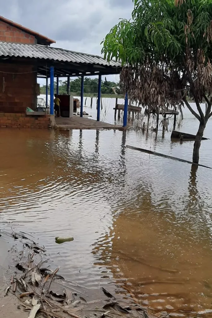 Whatsapp image 2022 01 29 at 10.39.14 am