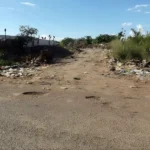 MP dá prazo para prefeitura resolver problemas no lixão e matadouro de Augustinópolis Lixão de Augustinópolis