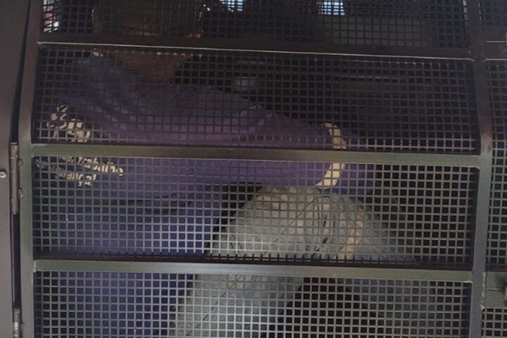 483313