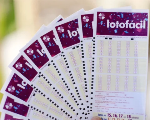 Loterias premio da lotofacil resultado da lotofacil lotofacil loterias da caixa resultado loteria 1714740142.jpg