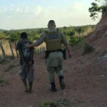 Suspeito de matar homem a facadas em feira de Augustinópolis foi preso nesta quinta feira