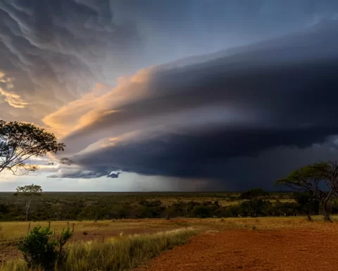 Vortex no Tocantins