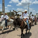 Cavalgada
