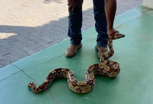 Captura de Tela 2026 01 16 às 15.54.58